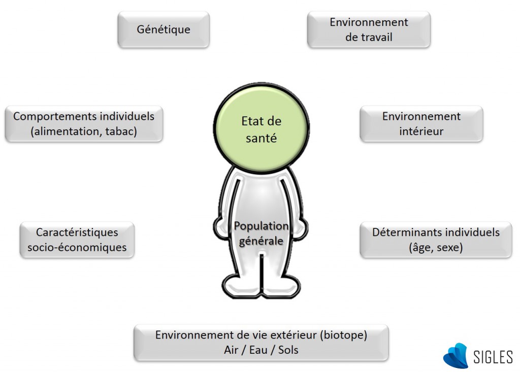 La génétique, les comportements individuels, les déterminants individuels (âge, sexe), les caractéristiques socio-économiques, l'environnement de travail, l'environnement intérieur et l'environnement de vie extérieur (air, eau, sol) sont les principaux déterminants de la santé.